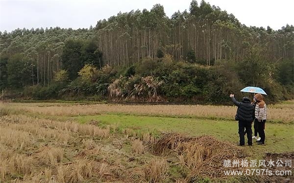 昌都市陈老师带着爱徒寻龙点穴